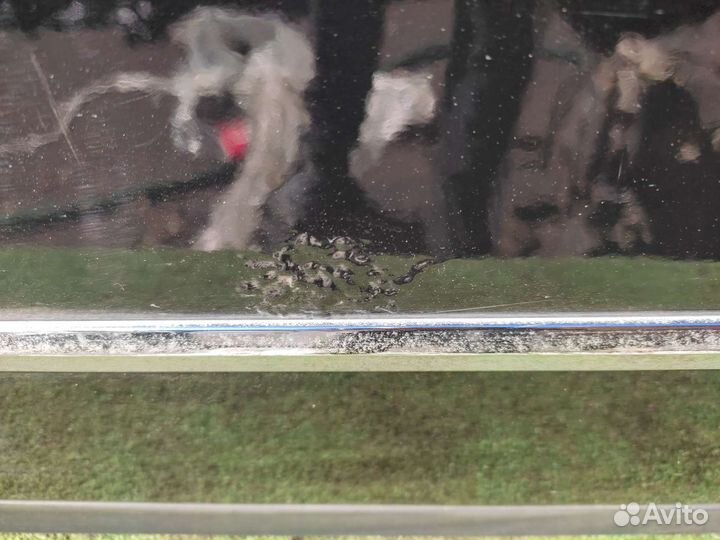 Дверь передняя правая Volkswagen Passat B6