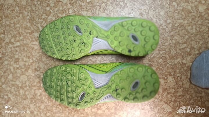 Сороконожки джома, р.37