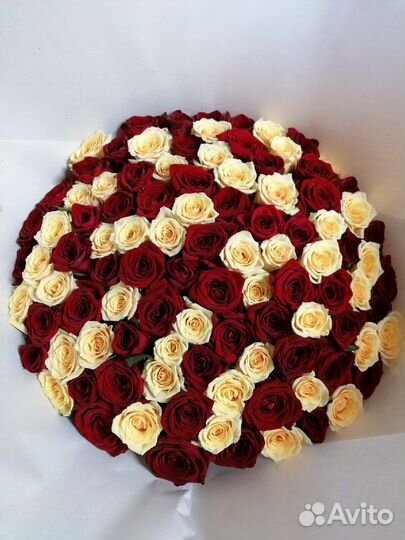 Роза Голландская букет 101 роза