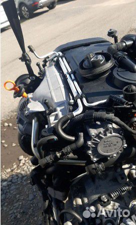 Двигатель Volkswagen Passat B6 2.0 BKP