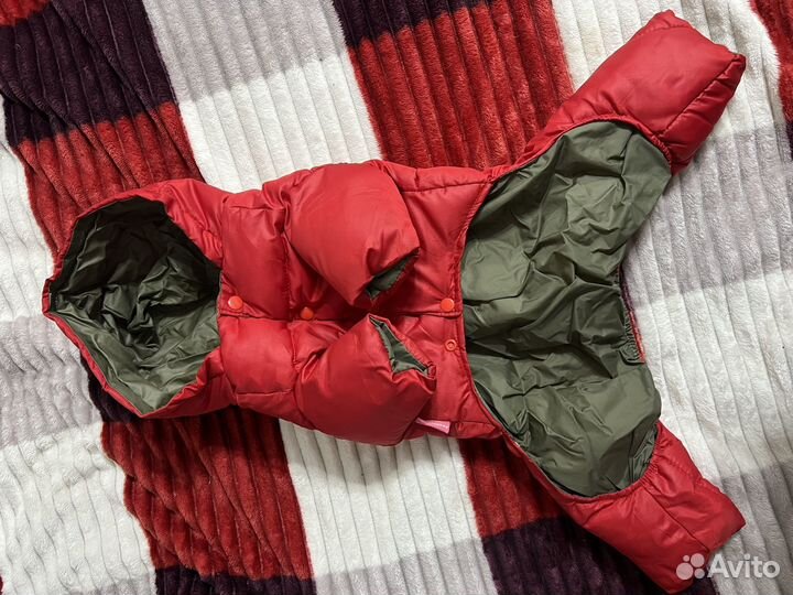 Комбинезон на собаку