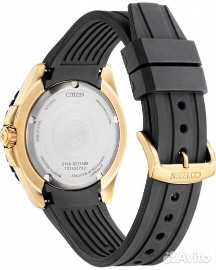 Мужские наручные часы Citizen Eco Drive BN0196-01L