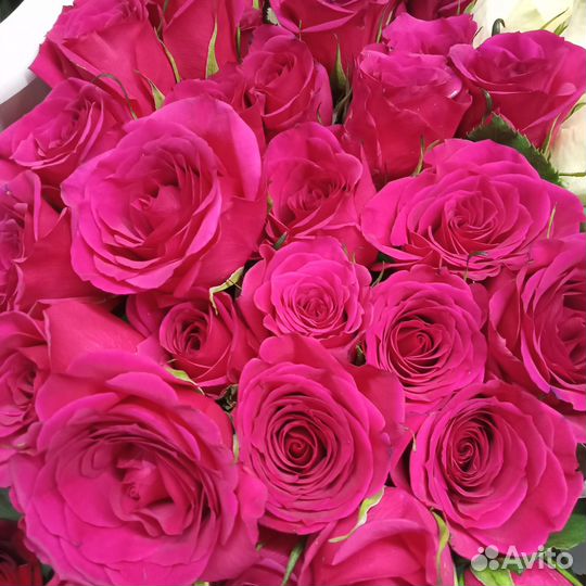 Розы.Доставка.Тамбов