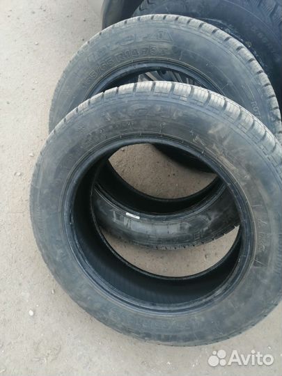 Tigar Winter 175/65 R14