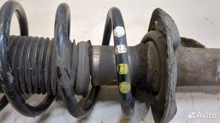 Амортизатор подвески Volkswagen Touran, 2006