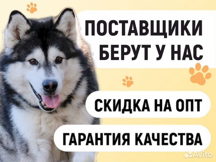 Бычий корень оптом. Фермерское