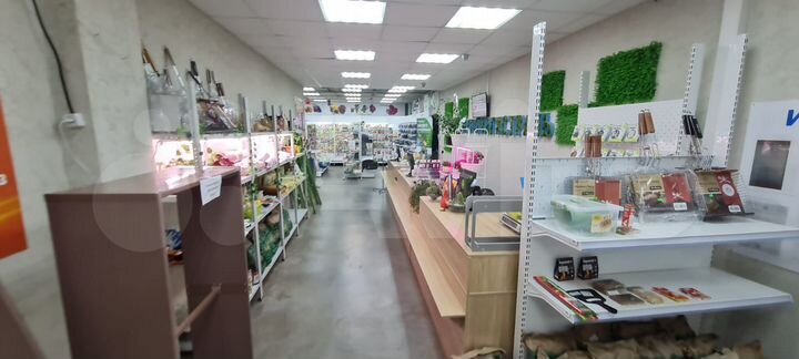 Торговая площадь, 540 м²