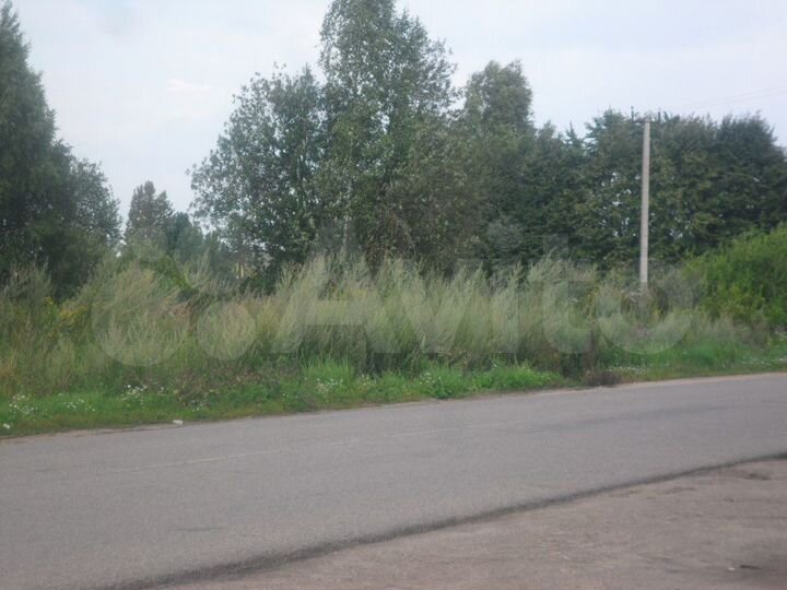 Участок 50 сот. (ИЖС)