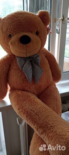 Большие плюшевые медведи