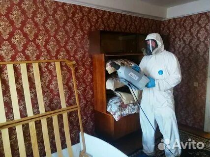 Дезинфекция уничтожение тараканов клопов и муравье
