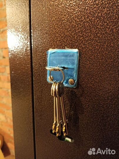 Дверь входная металлическая с зеркалом