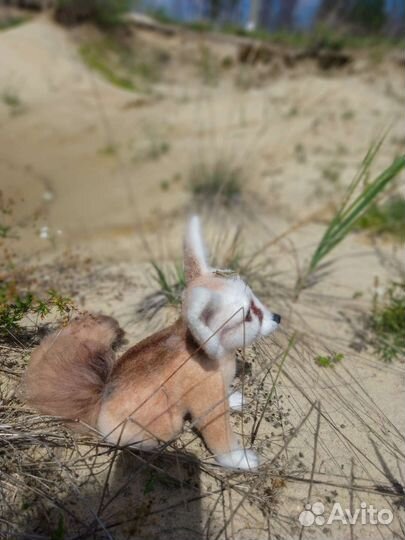 Лисенок Фенёк