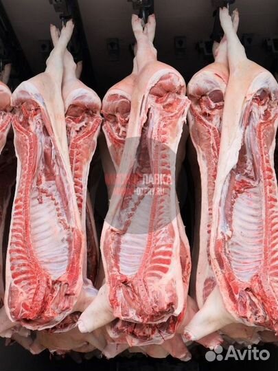 Мясо говядина свинина