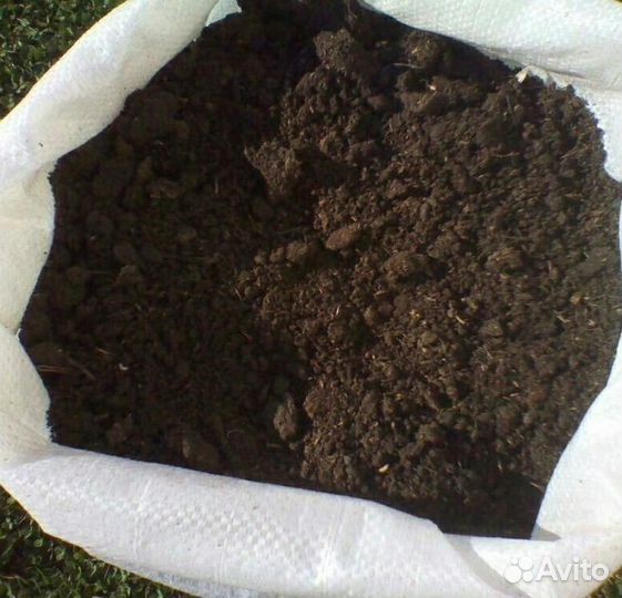 Земля четырёх компонентная