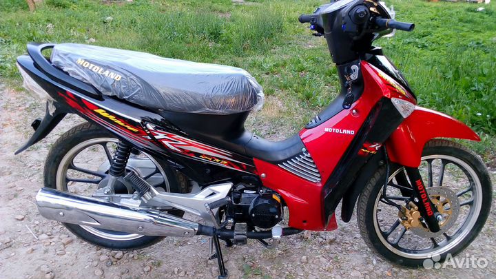 Скутеретта motoland (мотоленд) 125 куб. aсtive