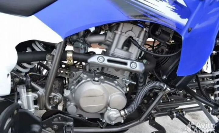 Квадроцикл Motoland ATV 250 S синий