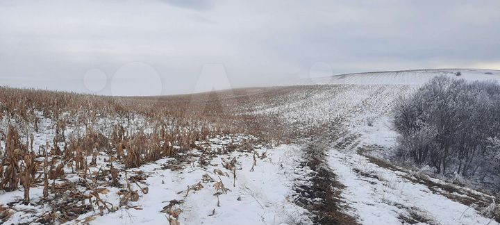 Участок 10 га (СНТ, ДНП)