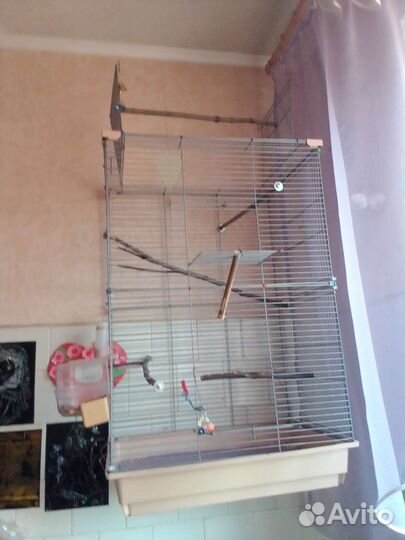 Клетка для попугая