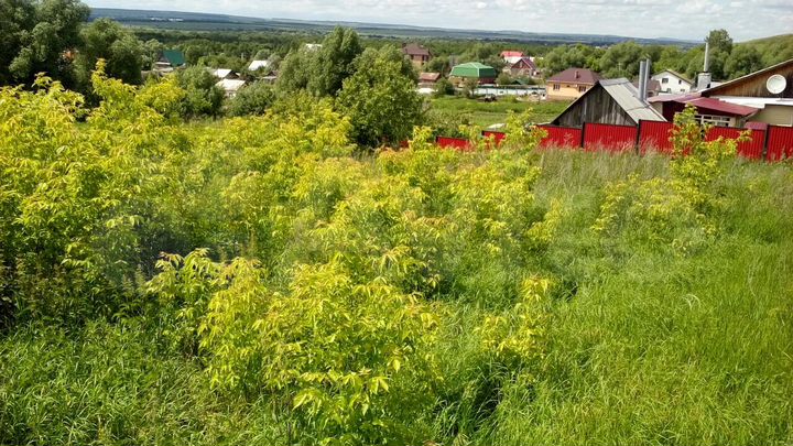Участок 15 сот. (ИЖС)