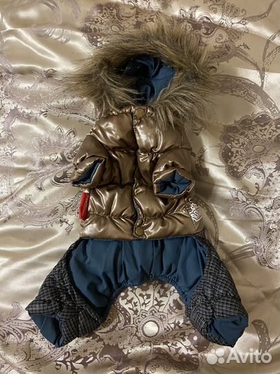 Одежда для маленьких собак