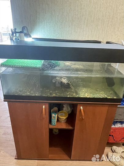 Аквариум для черепах 150 л