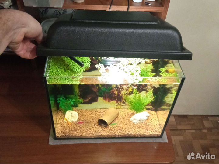 Отличный, готовый аквариум