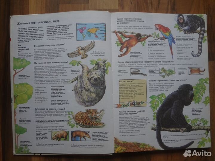 Книги Неизвестное об известном,Энциклопедия Disney