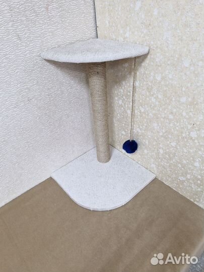 Когтеточка