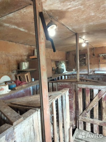 Сарай для с/х животных