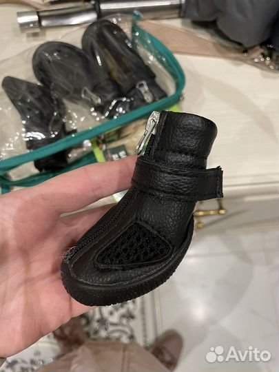 Сапоги для собак