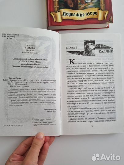 Странники. Дымная гора. Медвежье озеро