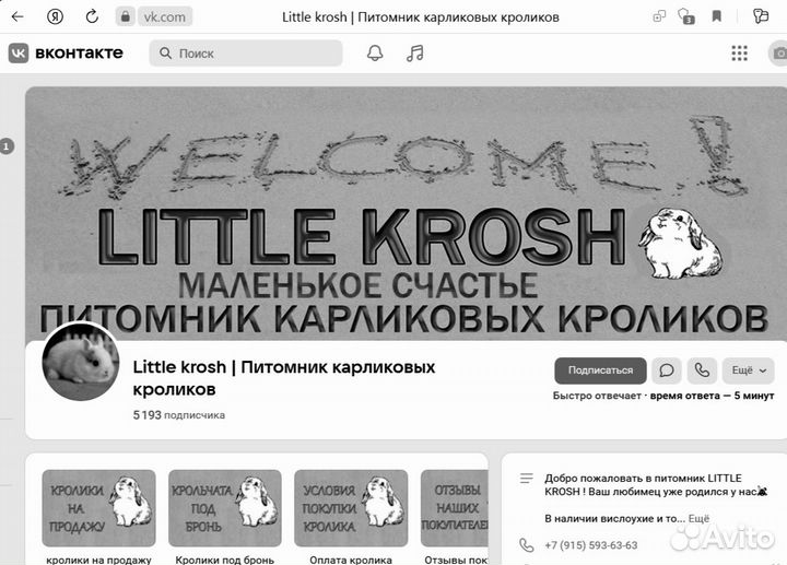 Много разных кроликов.Доставка