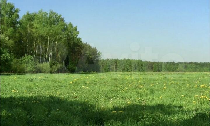 Участок 8 сот. (ИЖС)