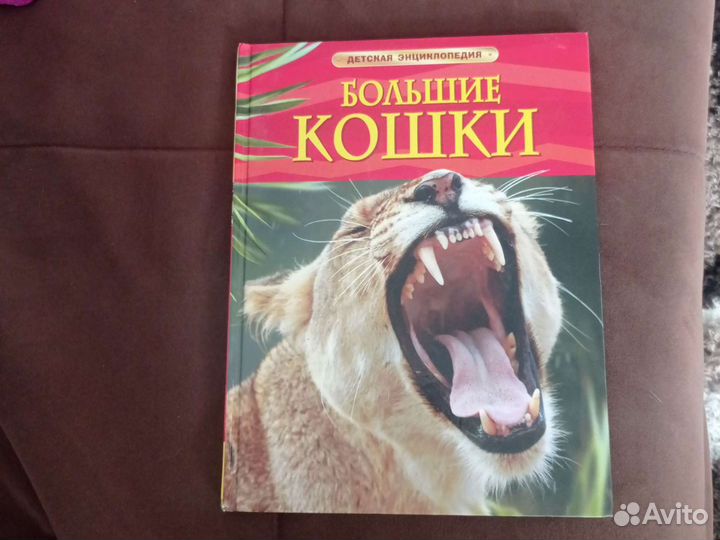 Книга о животных