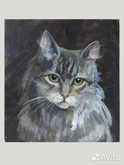 Серый кот. Картина с котами. Мини картина акрилом