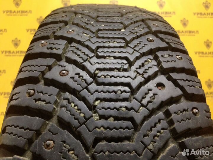 Cordiant Polar 175/65 R14