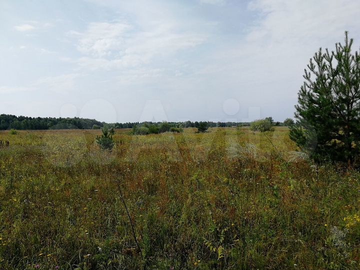 Участок 28 га (ИЖС)