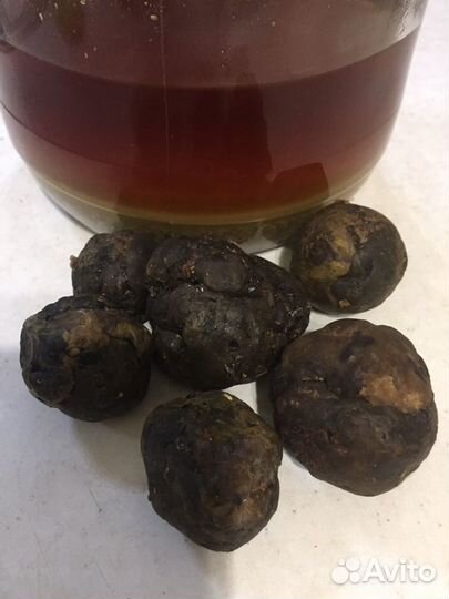 Медочек ммммм нямкаБонусы при покупке от 3х лтров