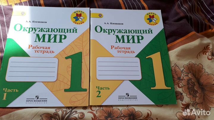Рабочие тетради 1 класс окружающий мир