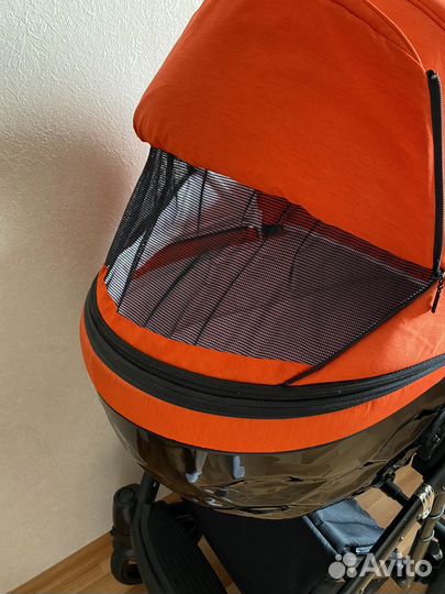 Коляска 2 в 1 adamex chantal