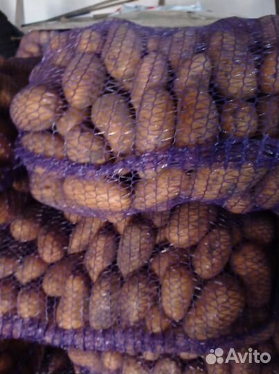 Продам картофель