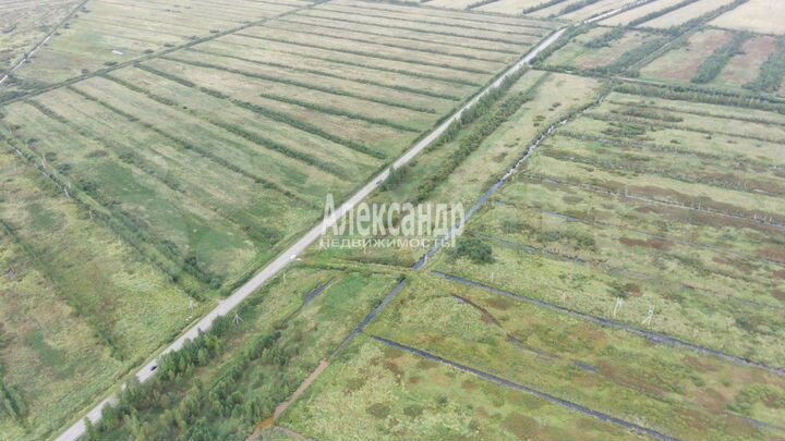 Участок 3,1 га (промназначения)