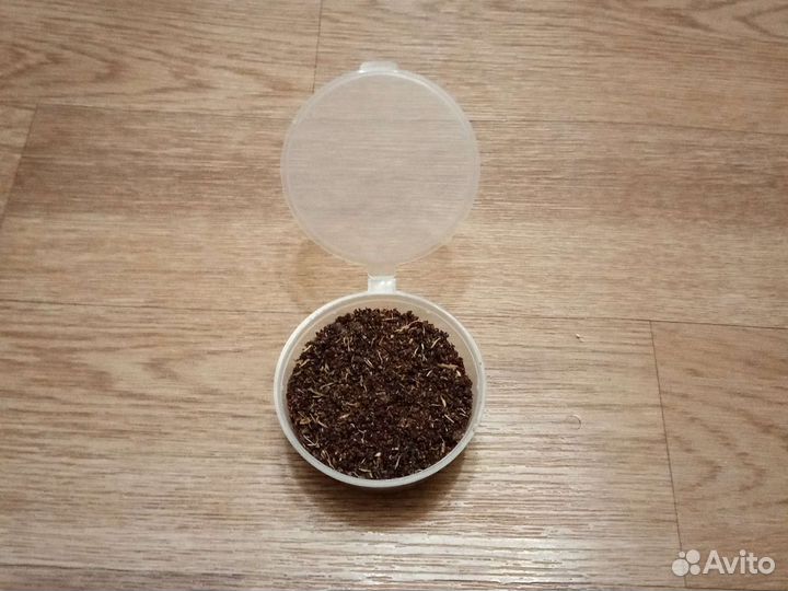 Продам прополис