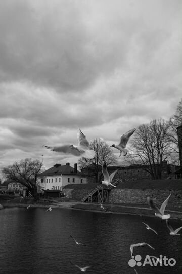 Видеосъёмка/Видеооператор/Видеограф/Reelsmaker