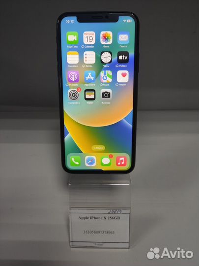 iPhone X, 256 ГБ
