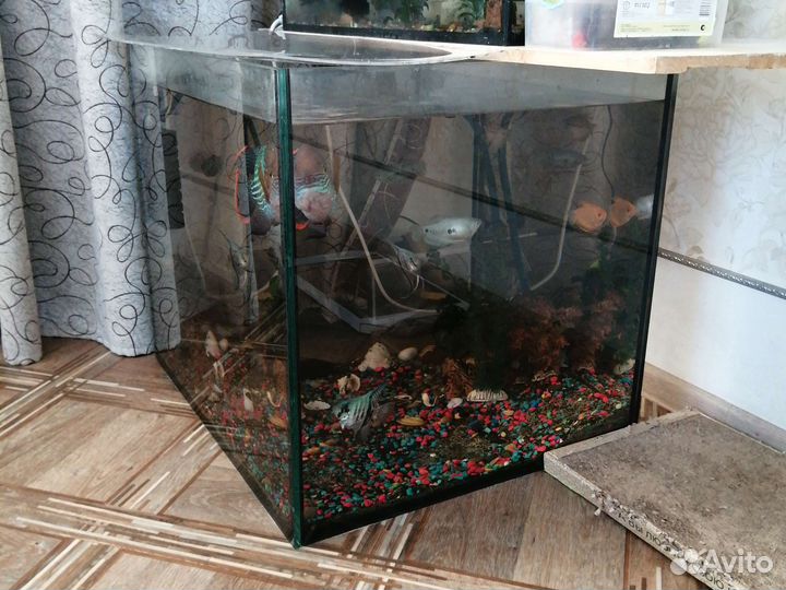 Аквариум