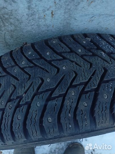 Nokian Tyres Hakkapeliitta 8 205/60 R16 96T