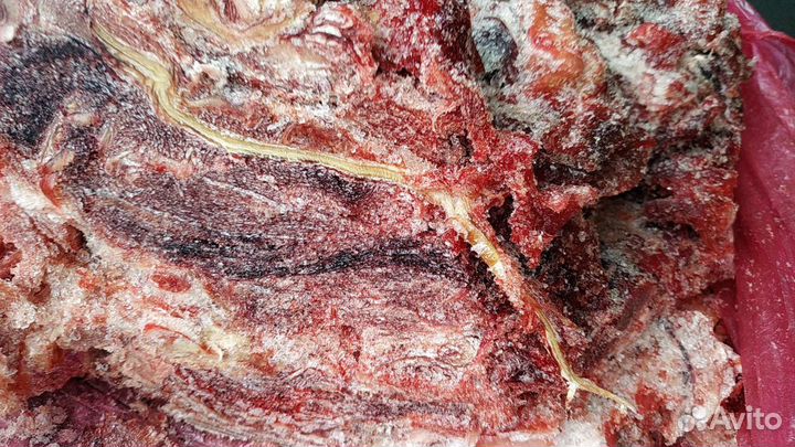 Обрезь мясная говяжья, печень для собак