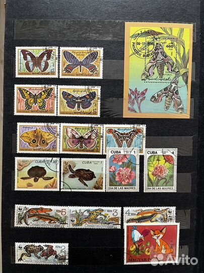 Почтовые марки(флора и фауна)