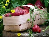Лукошки(корзинки) для ягоды